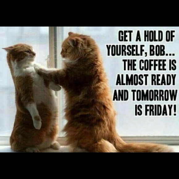 GAME CLOSED PLS LIKE NEW LISTING⬅️TY!😃 - Picture 3 of 16